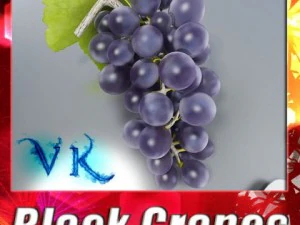 black grapes high detail 3D Model