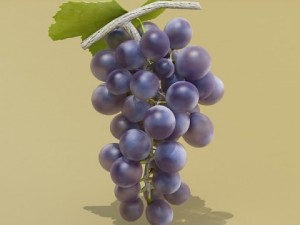 black grapes high detail 3D 模型