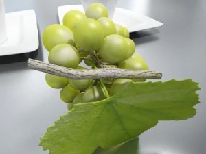 green grapes in glass bowl 3D Model