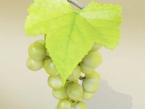 green grapes in glass bowl 3D Model