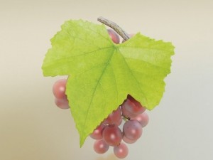 red grapes in bowl 12 Model 3D