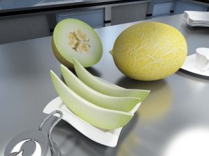 melon high res textures 3D Model