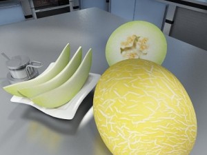 melon high res textures 3D Model