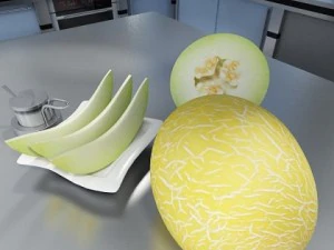melon high res textures 3D Model