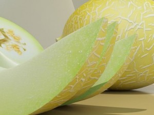 melon high res textures 3D Model
