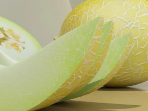 melon high res textures 3D Model