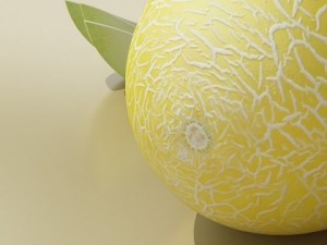 melon high res textures 3D Model