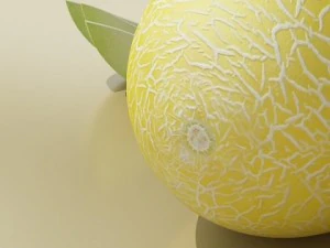 melon high res textures 3D Model
