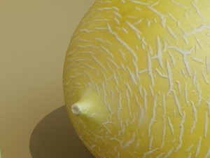melon high res textures 3D Model