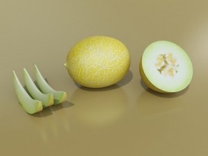 melon high res textures 3D Model
