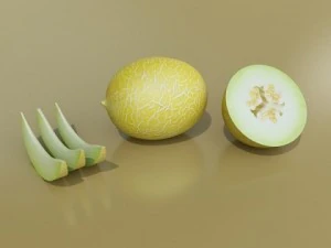 melon high res textures 3D Model