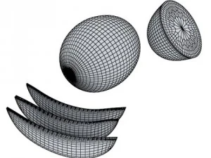 melon high res textures 3D Model