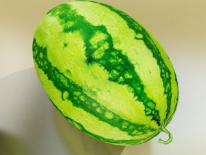 watermelon high res texture 3D Model