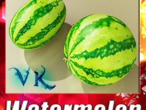 watermelon high res texture 3D Model