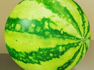 watermelon high res texture 3D Model