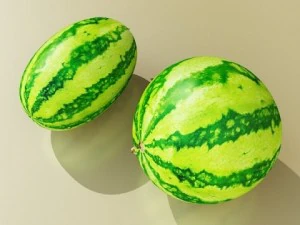 watermelon high res texture 3D Model