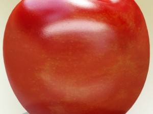 photorealistic cherries high res Model 3D