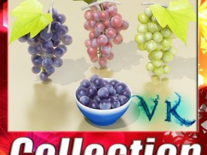 grapes collection high detailed Modelo 3D