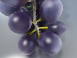 grapes collection high detailed 3D Model