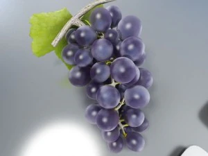grapes collection high detailed 3D Model