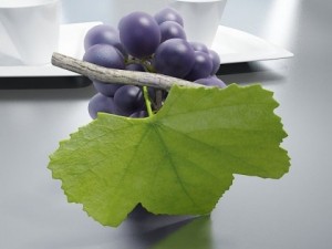 grapes collection high detailed 3D Model
