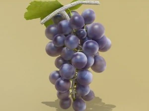 grapes collection high detailed 3D Model