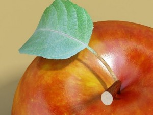 grocery store produce display fixture Model 3D