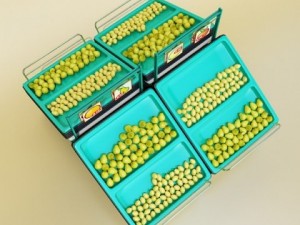 fruit stand smoothable 3D 모델