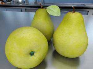 fruit stand smoothable 3D Model