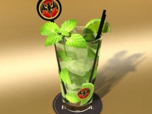 mojito cocktail high detail 3D Model