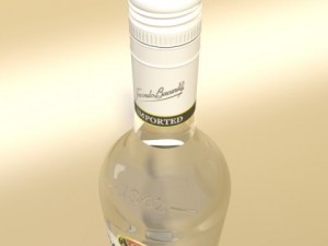 high detailed bacardi bottle mojito and rum shot 3D Model