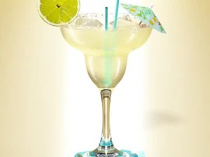 margarita cocktail  high detailed 3D Model