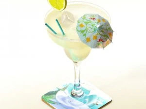 margarita cocktail  high detailed 3D Model