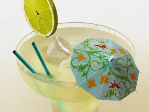 margarita cocktail  high detailed 3D Model