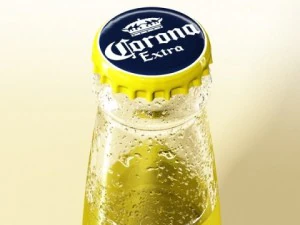 corona beer bottle  6 pack 3D Model