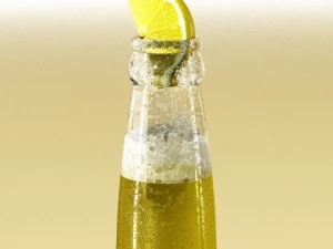 corona beer bottle  6 pack 3D Model