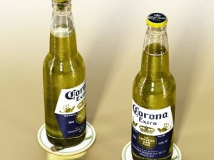 corona beer bottle  6 pack 3D Model