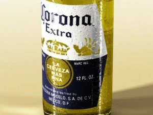 corona beer bottle  6 pack 3D Model