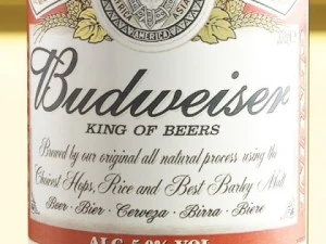 budweiser beer bottle 3D Model