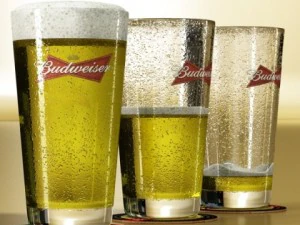 budweiser beer collection 3D Model
