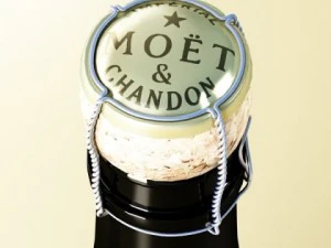 champagne moet chandon bottle 3D Model