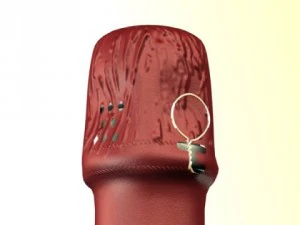champagne set 2  bottle flute strawberry and wooden ice bucket 3D Model