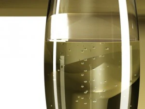 champagne set 3  bottle flute and ice bucket 3D Model