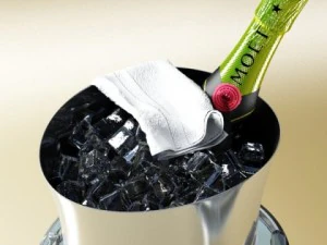 champagne ice bucket set 3D Model
