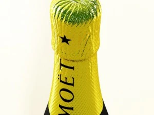 champagne ice bucket set 3D Model