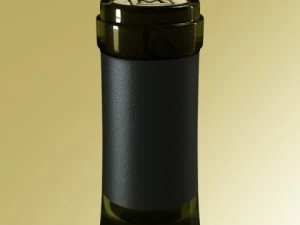 wine bottles and rack 3D Model
