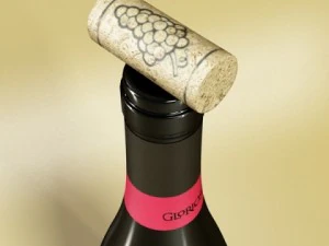 wine rack collection and 6 wine bottles 3D Model