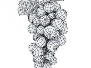 wine rack table bottles cups and grapes 3D 모델