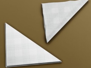 napkin holder 3 Modèle 3D