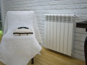 radiator 3 3D Model